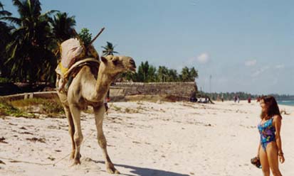 Diani_beach_2_(2)